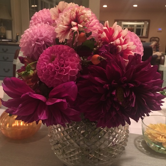 Meet your Posher, Bridget - Picture 1 of 1